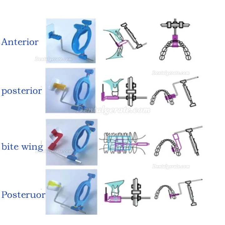 Dentaler RVG-sensorhalter intraorales r&ouml;ntgenfilmpositionierungssystem 2.0
